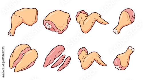 Assorted pieces of raw chicken meat including thighs, breasts, wings and drumsticks arranged neatly for culinary preparation and healthy cooking