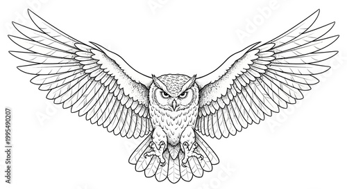 Detailed Owl Drawing with Wings Spread Wide, Black and White