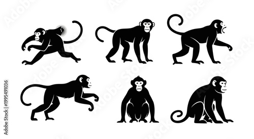 Set of Six Black Monkey Silhouettes in Various Poses on White Background