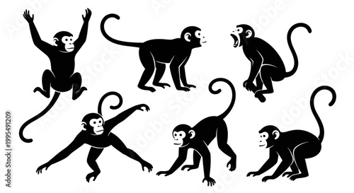 Set of Monkey Silhouettes in Various Poses