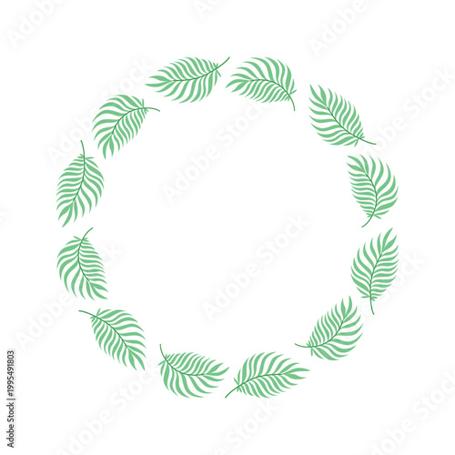 Green tropical feather palm leaf wreath frame isolated on white, botanical circle border for summer wedding invitation and organic branding
