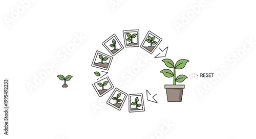Illustration showing the life cycle of a plant from seedling to mature plant with a reset option.