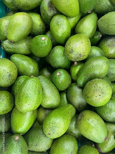 Pile of fresh green avocados at a local market, organic healthy fruit texture.
Avocado, fresh, green, organic, healthy, superfood, market, grocery, vegetable, raw, ripe, nutrition, ingredie
