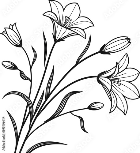 minimal-rose-outline-svg--black-and-white