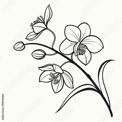 minimal-rose-outline-svg--black-and-white