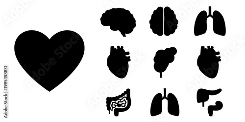 Various human organ silhouettes displayed on a white background with a heart.