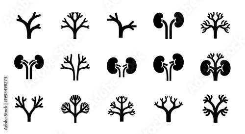 Kidney, organ, human body part, medical, icon set, 12 black silhouette graphics