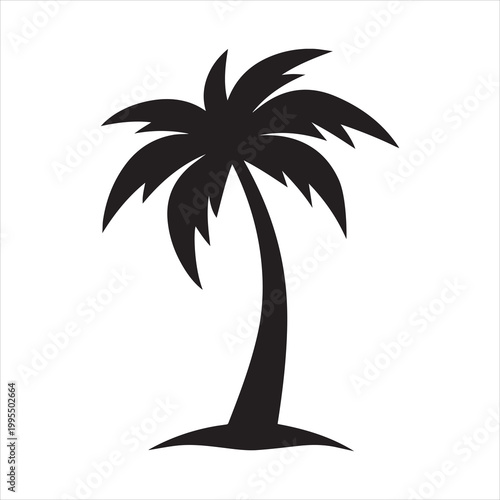 palm tree silhouette
