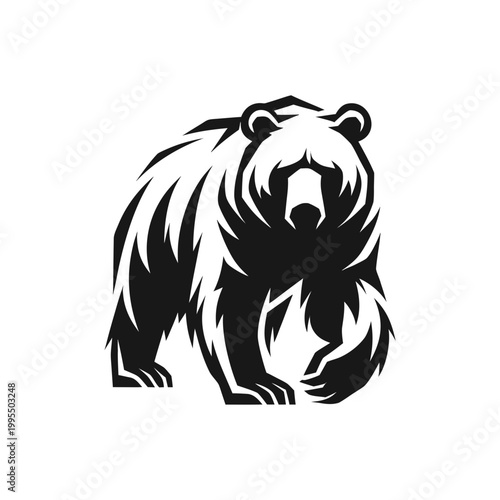 Black bear, wildlife illustration, animal design, vector graphic