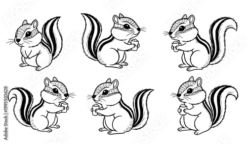 Cute chipmunk doodle vector set with playful woodland animal sketch illustration style