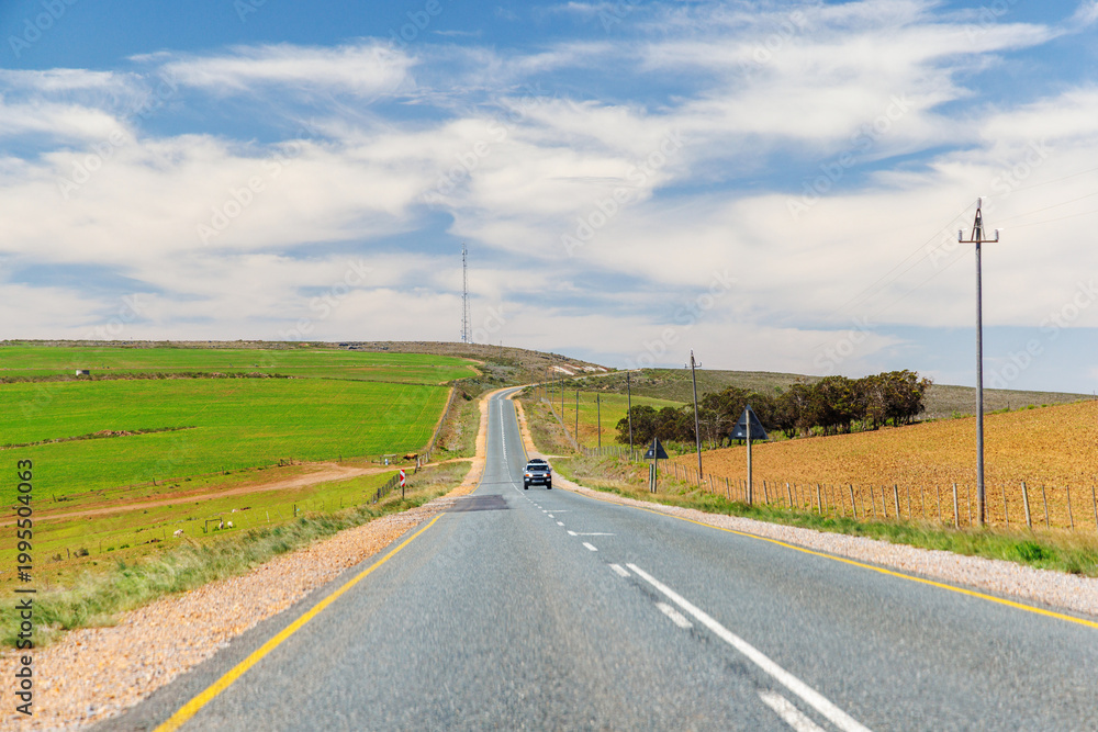 Fototapeta premium Asphalt road in South Africa surrounded by fields