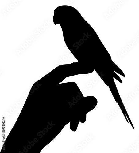 Black Silhouette of a Parrot Perching on a Human Finger Isolated on White Background