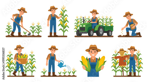 Happy cartoon farmers in straw hats work diligently in the corn fields performing various agricultural tasks during the harvest season