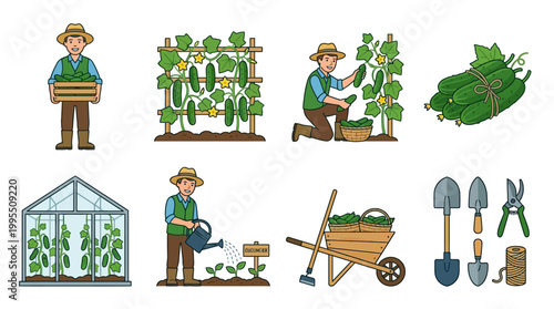 A friendly farmer harvesting fresh cucumbers with wooden crates and various gardening tools for healthy organic food production and agriculture