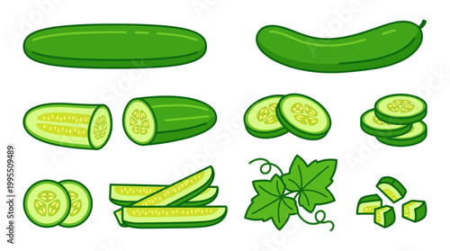 Fresh green cucumbers are shown as whole vegetables, sliced rounds, chopped pieces, and healthy salad ingredients in this detailed illustration set.