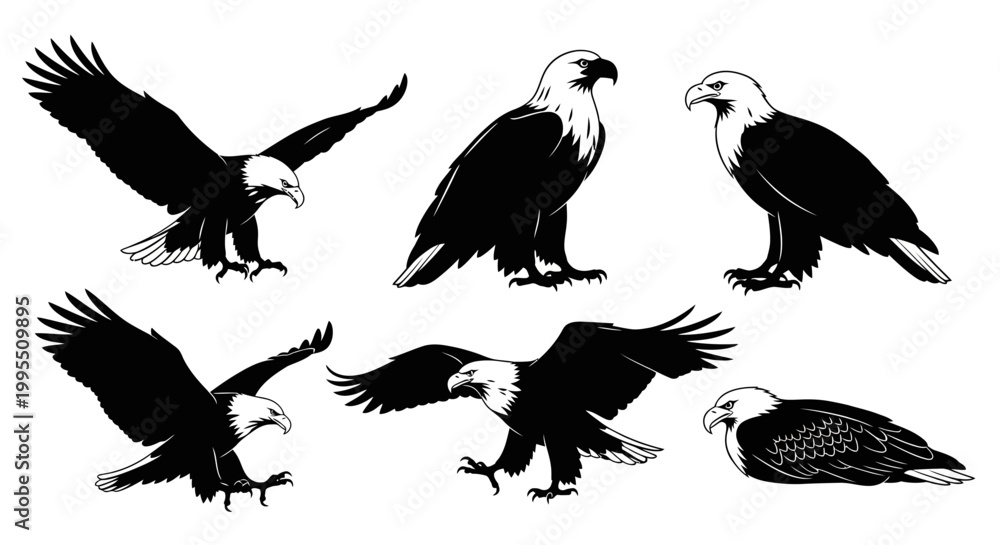 Obraz premium Bald Eagle Set in Various Poses ? Majestic Wildlife Vector Illustration