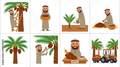 A bearded arab man wearing traditional thobe clothing performs various stages of harvesting and processing sweet date fruit products