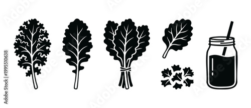 Kale leaves and smoothie icon set, flat black vegetable vector illustration. Healthy green food ingredients and fresh drink in mason jar isolated on white background for culinary or wellness design.