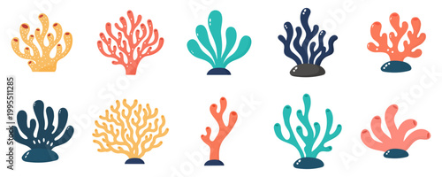 Colorful Hand Drawn Coral Reef Set