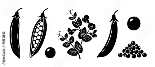 Peas vegetable pod plant icon set, black silhouette vector illustration of green pea plant, open pods with seeds, heap of peas and floral stem isolated on a white background for food design graphic.