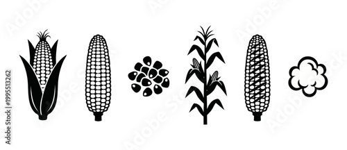 Corn Icon Set Black Silhouette Collection, Maize Ear Cob Kernel Plant Vector Graphics for Agriculture, Farming, Food Industry, Harvesting, and Healthy Nutrition Symbols Isolated on White Background De