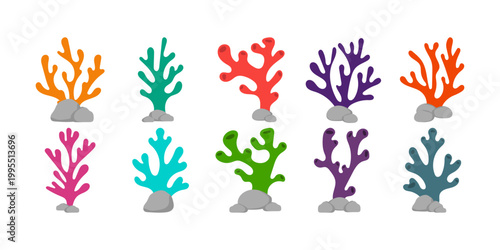 Sea ​​Coral Illustration