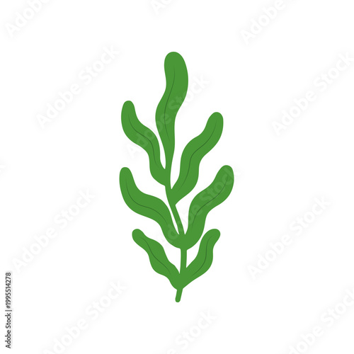 Minimalist Green Seaweed Illustration