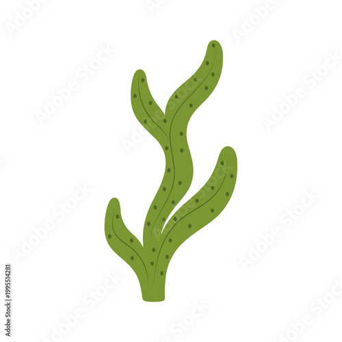 Hand Drawn Green Seaweed Illustration
