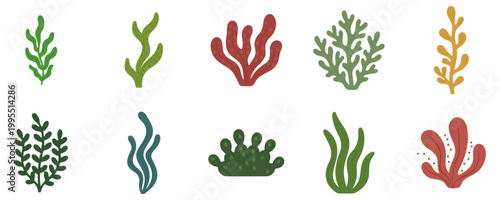 Hand Drawn Seaweed and Coral Icons
