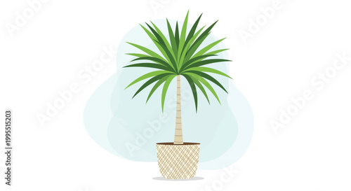 A stylized illustration depicts a yucca plant in a woven pot against a soft blue background