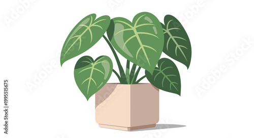 A stylized illustration of a dracaena marginata plant in a woven pot against a soft blue background