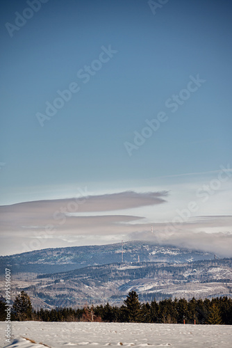 Exhibition display featuring a large 3D model of a bark beetle inside a glass cylinder with text panels
