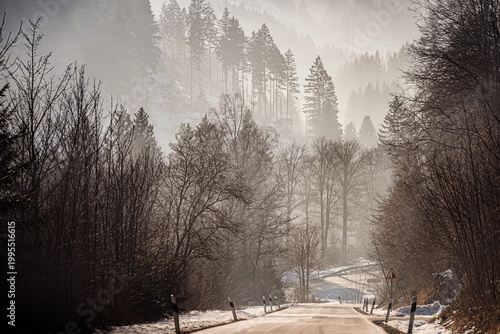 Winding mountain road through snowy forest in winter with bright sun haze