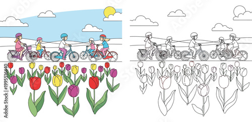 Children Cycling Through Tulip Field Spring Landscape Illustration and Coloring Book Page Vector Design for Kids Activity