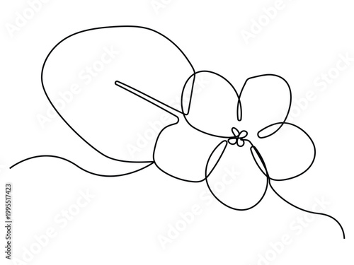 Continuous one line art drawing style of African violet. Saintpaulia flowering plant black linear sketch isolated on white background.