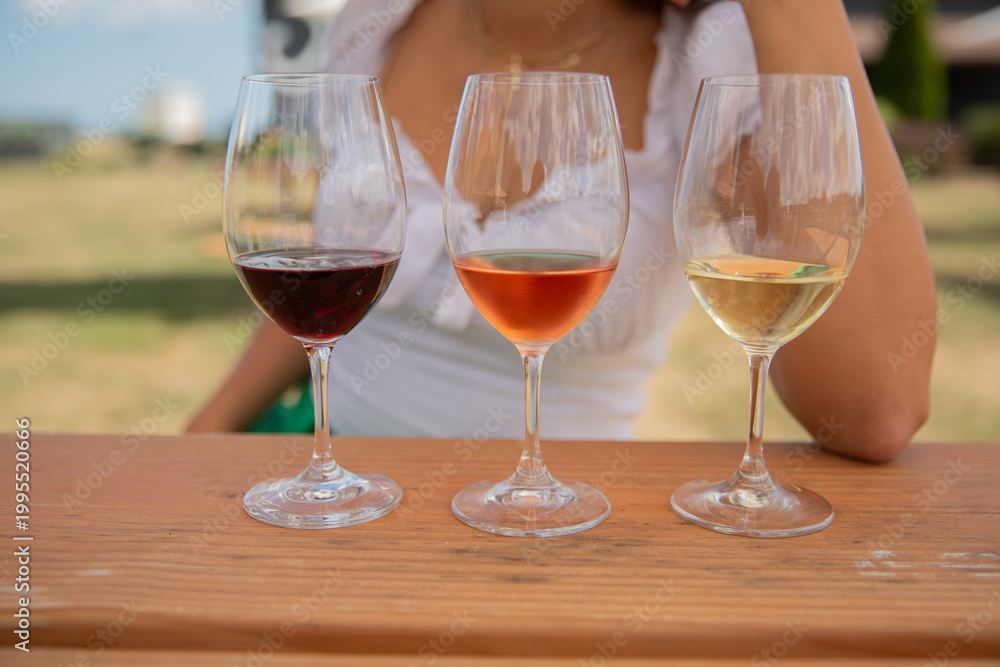Naklejka premium Wine Glasses Outdoors Tasting Selection
