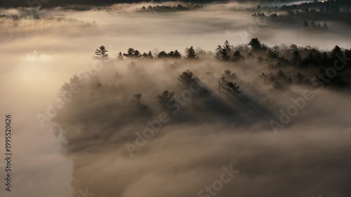 Peaceful Early morning mist over a lake and pine trees in Maine.