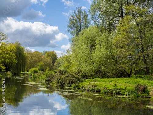 Fotografie River Itchen, Winchester, Hampshire, England, UK.