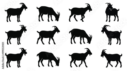 Domestic Goat Silhouette Collection with Various Poses Including Standing Grazing and Walking for Agriculture Graphics