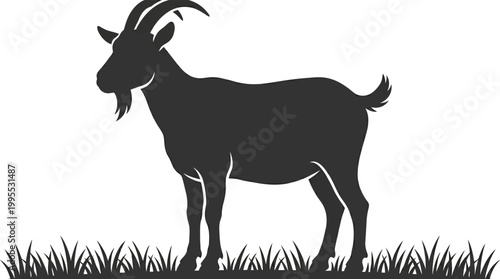 Side view silhouette of a domestic goat standing in grass on white background for farm branding and organic products