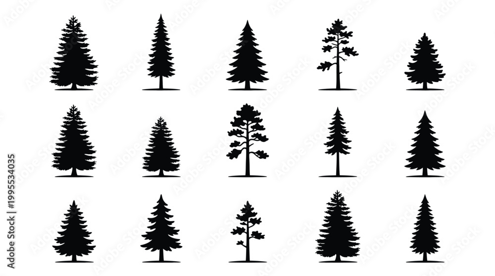 Fototapeta premium Set of coniferous tree silhouettes, collection of various pine, spruce and fir trees, vector illustration