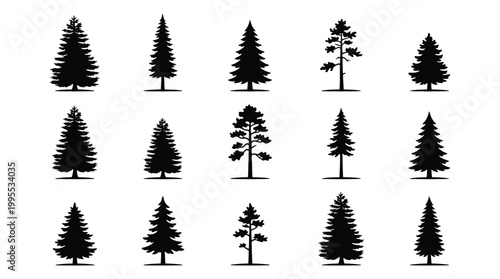 Set of coniferous tree silhouettes, collection of various pine, spruce and fir trees, vector illustration