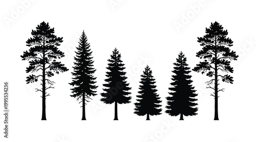 Set of coniferous tree silhouettes collection of pine and spruce trees for landscape design, forest elements, and naturethemed graphic projects