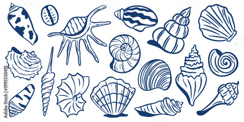 Hand drawn set of shells and mollusks in Mediterranean style. Underwater ocean inhabitants, navy blue doodle clip art. Vector elements