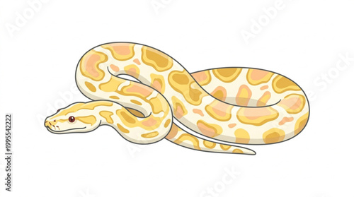 Yellow Albino Python Snake Vector Illustration Isolated