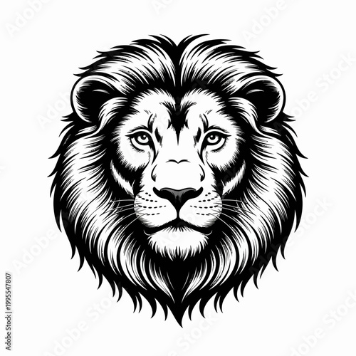 Lion Head Hand Drawn Illustration Vintage Engraving Style

