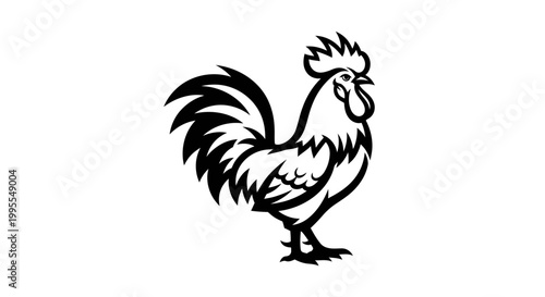 Minimalist black and white farm rooster vector illustration, hand drawn cockerel standing silhouette for poultry and rural life design.