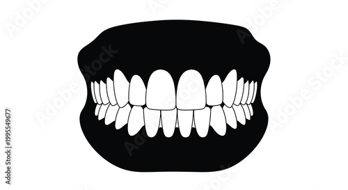 A black and white illustration of a set of human teeth and gums