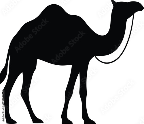 Elegant silhouette of a dromedary camel a minimalist representation of desert majesty and arabian wildlife