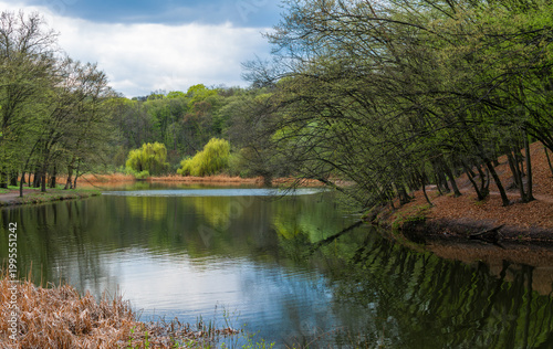 Beautiful nature on the shores of the lake. Great weather for relaxing by the water.